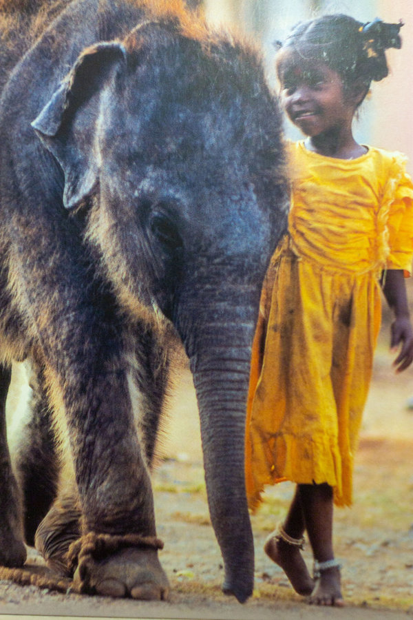 Schreib-/Notizbuch blanko Kind mit Elefant